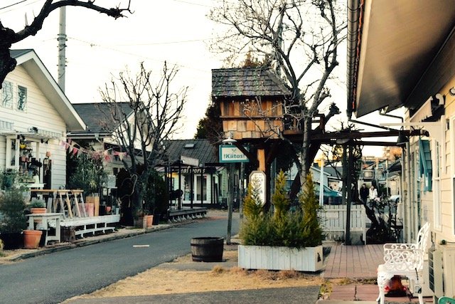 🏘️ 존슨 마을 (존슨타운) 이미지 1